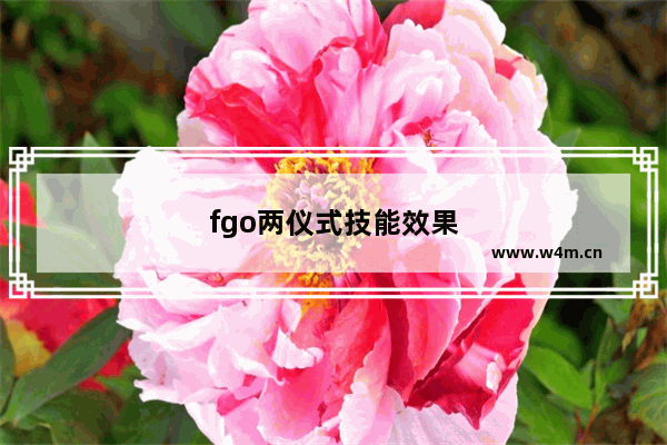 fgo两仪式技能效果