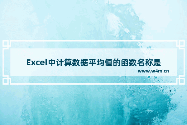 Excel中计算数据平均值的函数名称是