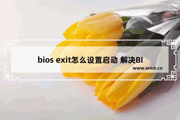 bios exit怎么设置启动 解决BIOS退出问题的启动设置