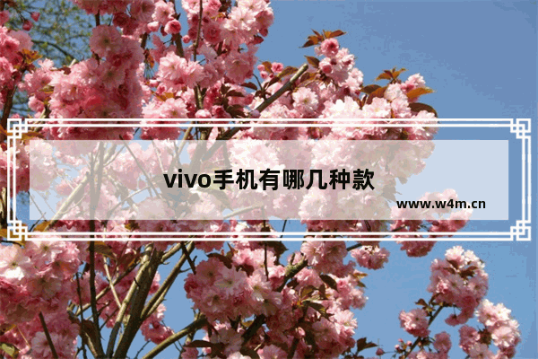 vivo手机有哪几种款