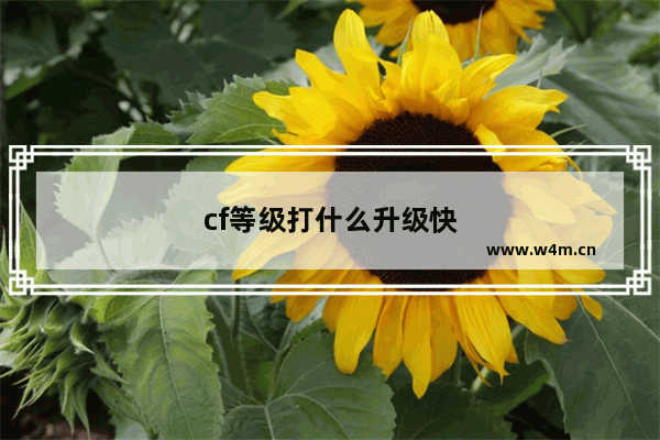 cf等级打什么升级快