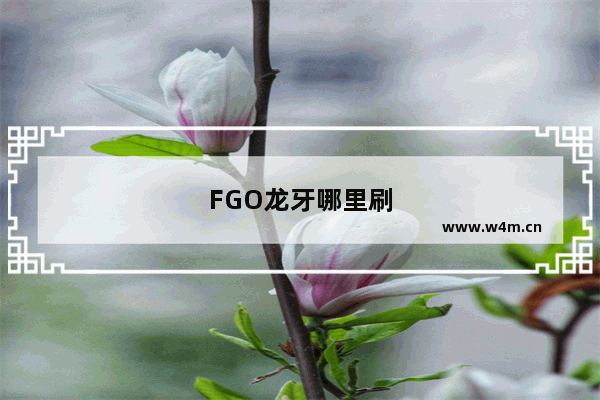 FGO龙牙哪里刷