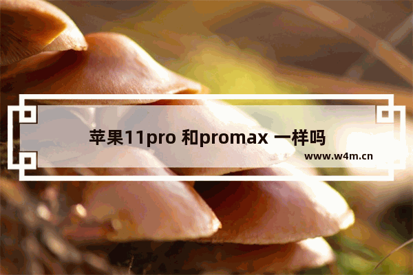 苹果11pro 和promax 一样吗