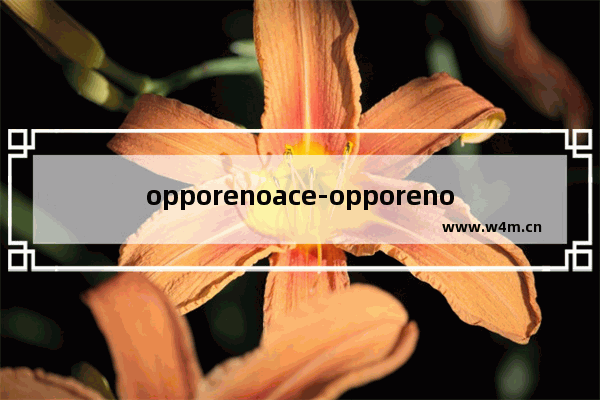 opporenoace-opporenoace有没有红外