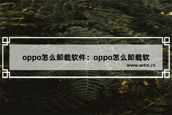 oppo怎么卸载软件：oppo怎么卸载软件更新