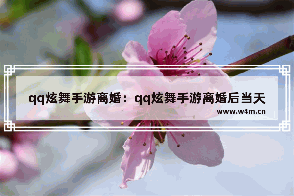 qq炫舞手游离婚：qq炫舞手游离婚后当天可以结吗