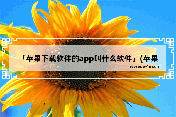 「苹果下载软件的app叫什么软件」(苹果下载软件的app叫什么软件爱思助手拼音)