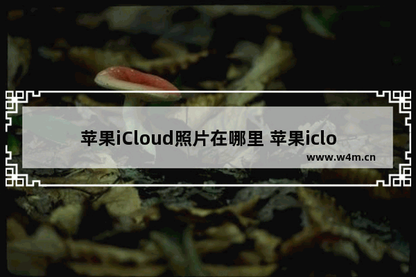 苹果iCloud照片在哪里 苹果icloud照片在哪里看