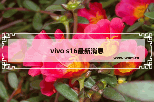 vivo s16最新消息