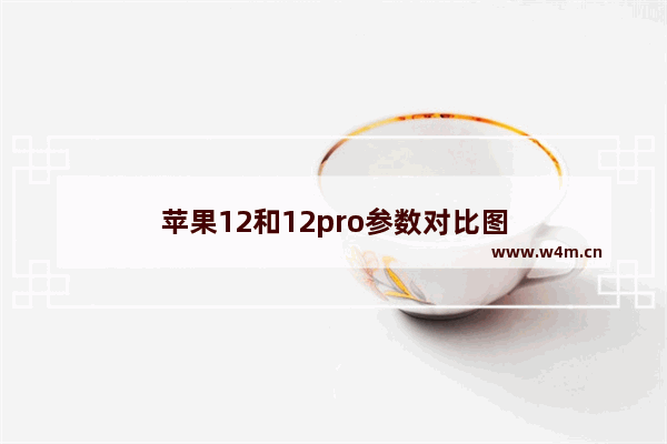 苹果12和12pro参数对比图