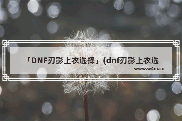 「DNF刃影上衣选择」(dnf刃影上衣选择什么技能)