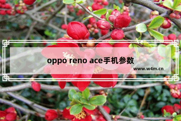 oppo reno ace手机参数