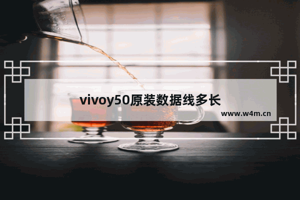 vivoy50原装数据线多长