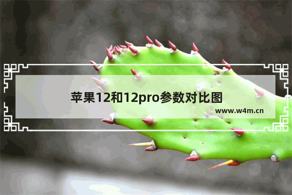 苹果12和12pro参数对比图