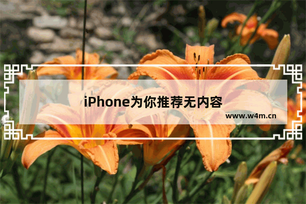 iPhone为你推荐无内容