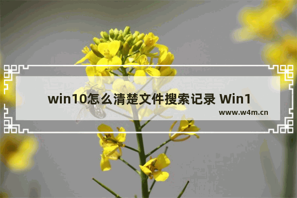 win10怎么清楚文件搜索记录 Win10如何清理搜索历史