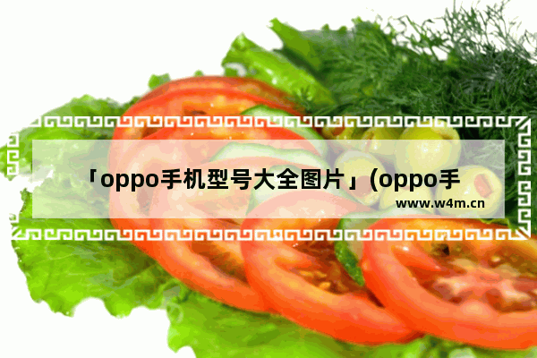 「oppo手机型号大全图片」(oppo手机型号大全图片 2013年)