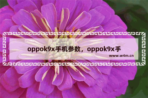 oppok9x手机参数，oppok9x手机参数配置