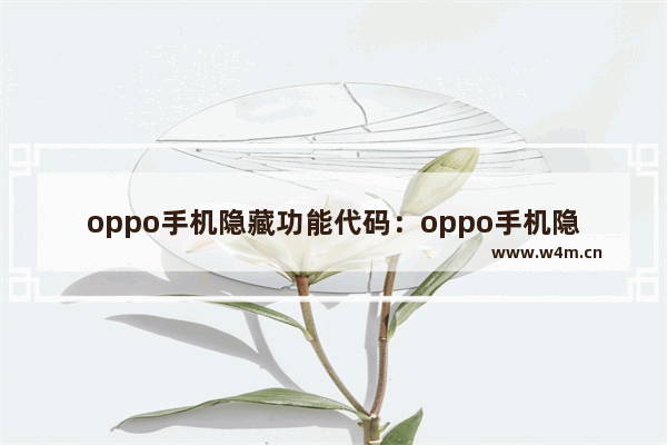 oppo手机隐藏功能代码：oppo手机隐藏功能代码隐藏软件