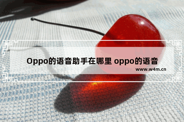 Oppo的语音助手在哪里 oppo的语音助手在哪里找