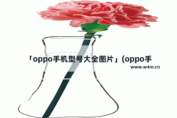 「oppo手机型号大全图片」(oppo手机型号大全图片 2013年)