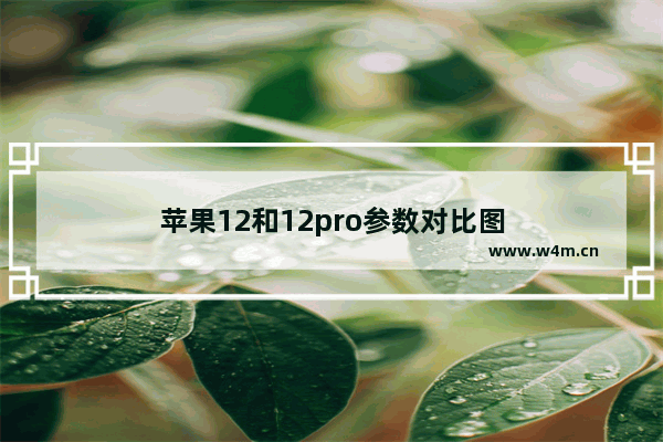 苹果12和12pro参数对比图