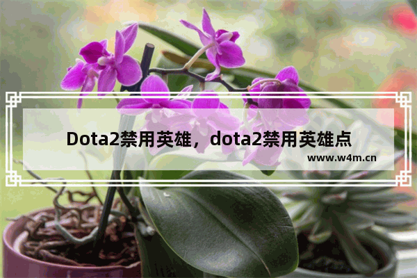 Dota2禁用英雄，dota2禁用英雄点不了