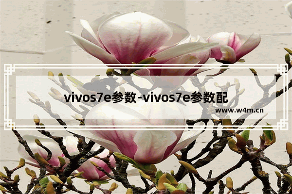 vivos7e参数-vivos7e参数配置