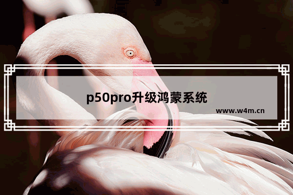 p50pro升级鸿蒙系统