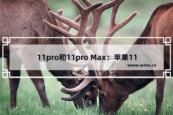 11pro和11pro Max：苹果11pro和11pro max参数