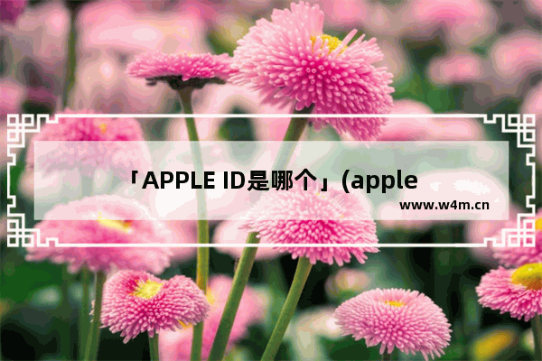 「APPLE ID是哪个」(apple id是哪个账号)