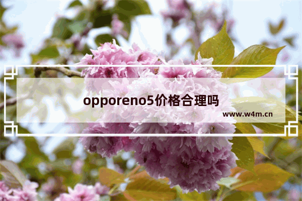 opporeno5价格合理吗