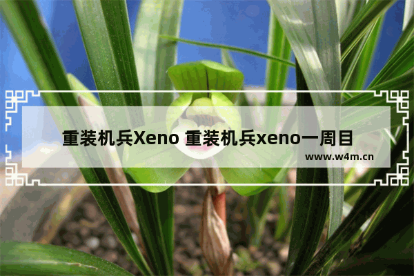 重装机兵Xeno 重装机兵xeno一周目最强战车