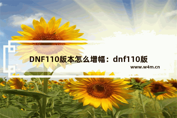 DNF110版本怎么增幅：dnf110版本怎么增幅上11