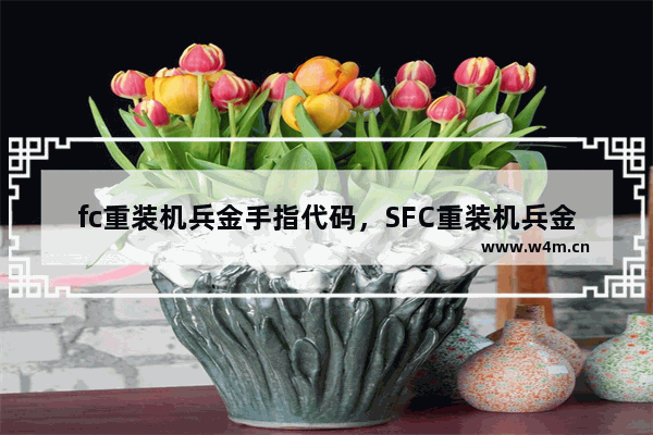 fc重装机兵金手指代码，SFC重装机兵金手指代码