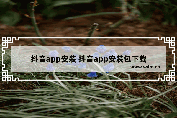 抖音app安装 抖音app安装包下载