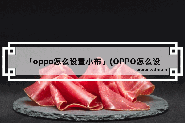 「oppo怎么设置小布」(OPPO怎么设置小布助手)