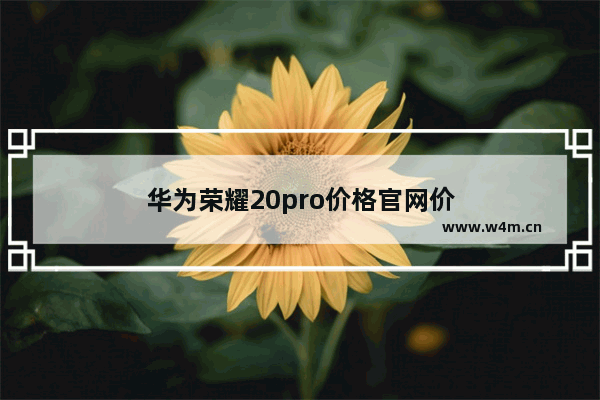 华为荣耀20pro价格官网价