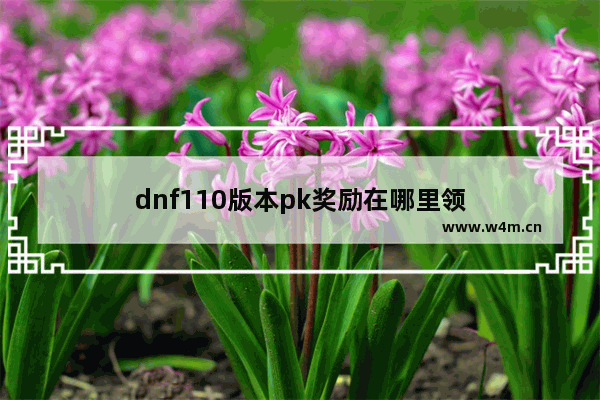 dnf110版本pk奖励在哪里领