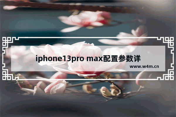 iphone13pro max配置参数详情