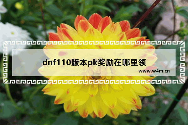 dnf110版本pk奖励在哪里领