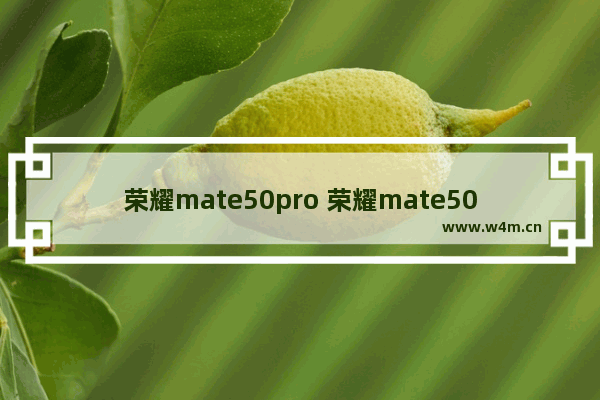 荣耀mate50pro 荣耀mate50pro多少钱