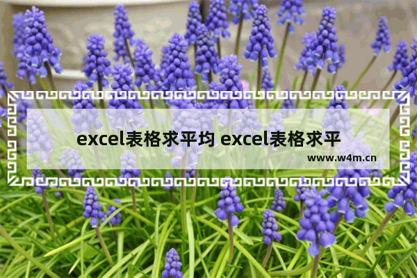 excel表格求平均 excel表格求平均值公式