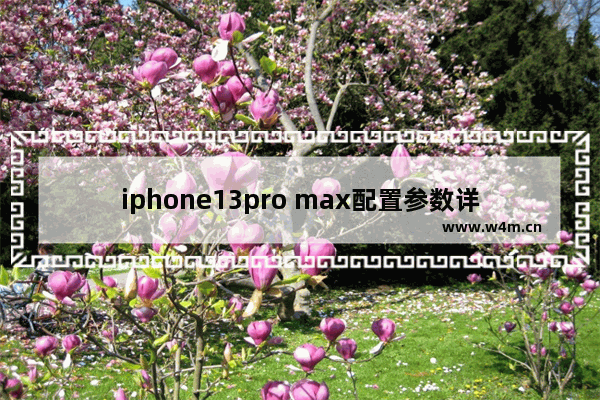 iphone13pro max配置参数详情