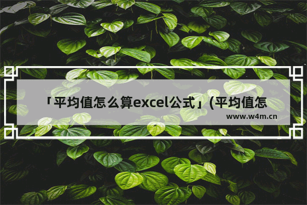 「平均值怎么算excel公式」(平均值怎么算excel公式保留两位小数)