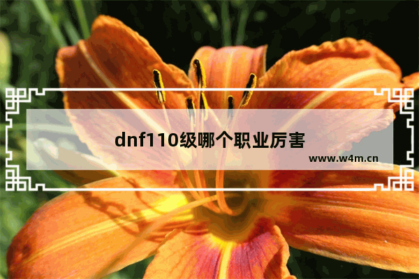 dnf110级哪个职业厉害