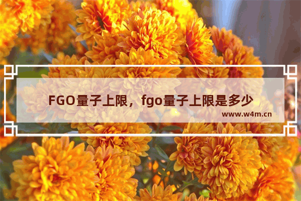 FGO量子上限，fgo量子上限是多少