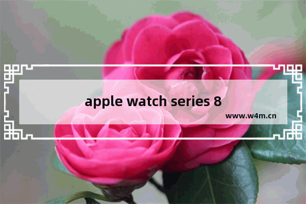 apple watch series 8屏幕：apple watch series 8屏幕ppi