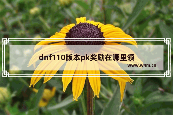 dnf110版本pk奖励在哪里领