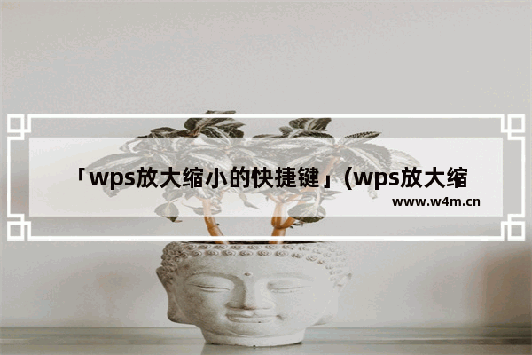 「wps放大缩小的快捷键」(wps放大缩小的快捷键mac)